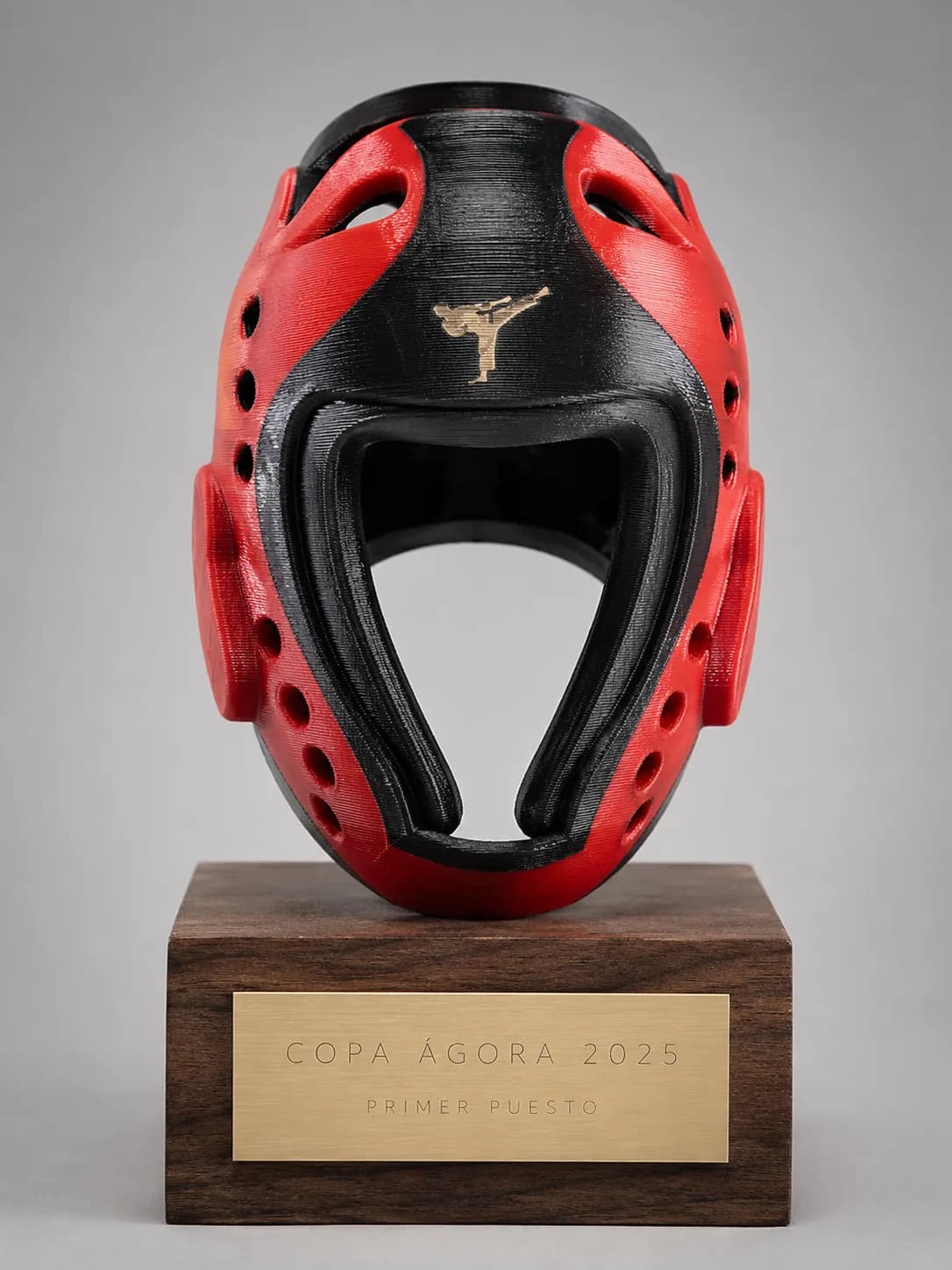 Trofeo de taekwondo en impreso en 3d